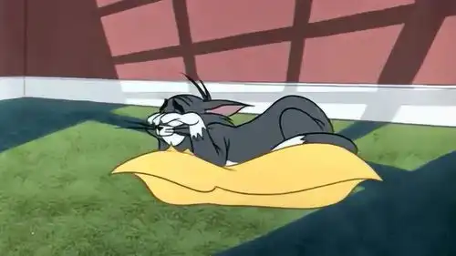 杰瑞太聪明了开枪的那一刻汤姆这表情变了,打响史上第一枪 杰瑞太聪明了开枪的那一刻汤姆这表情变了,打响史上第一枪