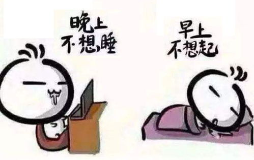 三本学生考研能考上985大学,为什么高考时却考不上
