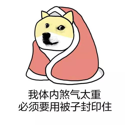  其实这就是你不想起床的原因