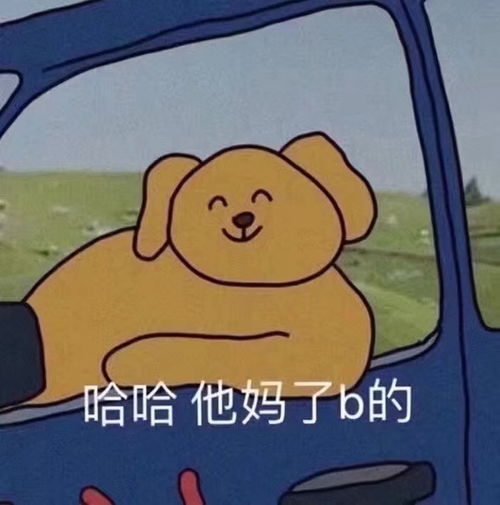  因为舍友的一句挂过科就全废了而狠狠emo了