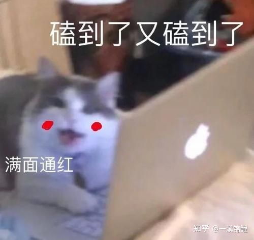  国产的三部甜且不辱智商的电视剧推荐