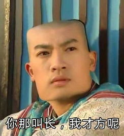  表情与斗图116还珠格格方脸表情包我好方什么意思囧图美图着迷网joyme