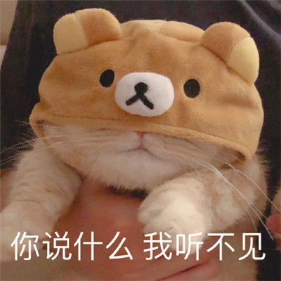  一个操作cookie的原生方法cookiestore