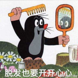  护肤