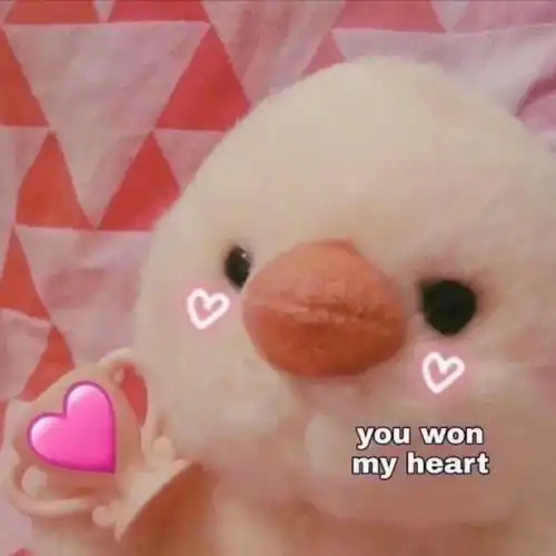 今日头像可可爱爱没有脑袋 今日头像可可爱爱没有脑袋