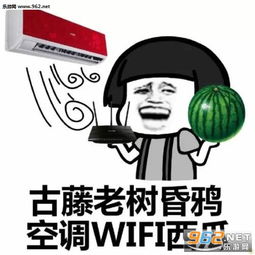  念天地之悠悠独碧根果难剥搞笑图片吃货作诗表情包下载乐游网游戏下载