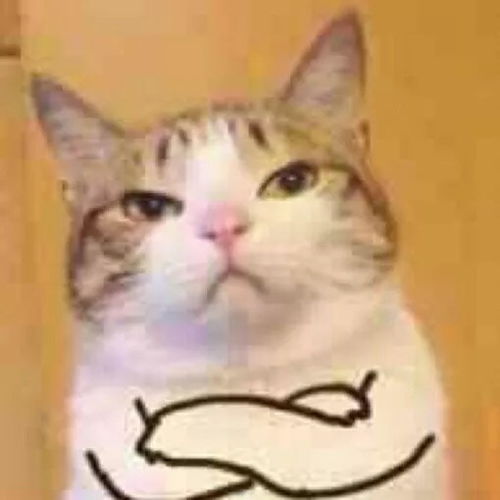  健身计划