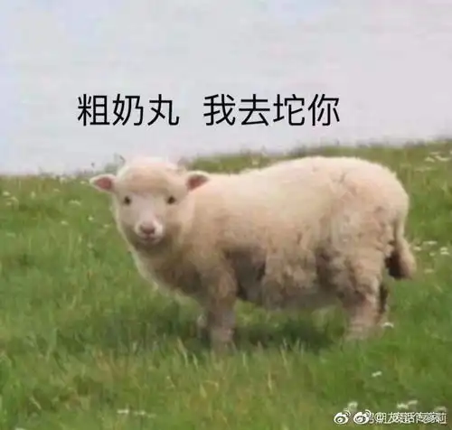 婉婉动图类比 婉婉动图类比