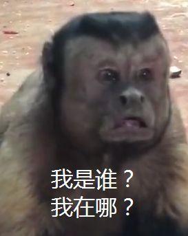 老婆要求半小时内回家,你敢不听话超强的求生欲是被锻炼出来的