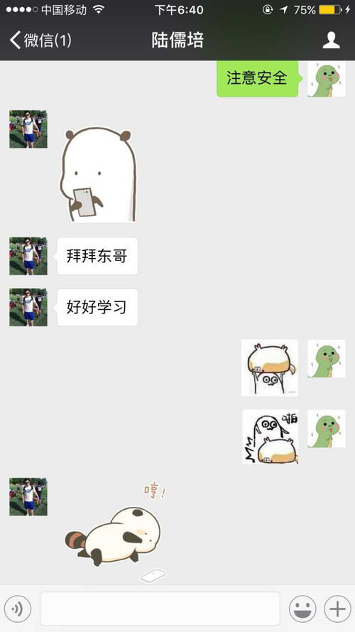  表情男性是否讨厌在聊天时使用表情白玉狗尾巴花的回答表情