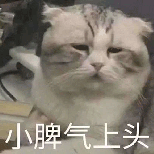  表情包丨表情包可爱图片小图5.08