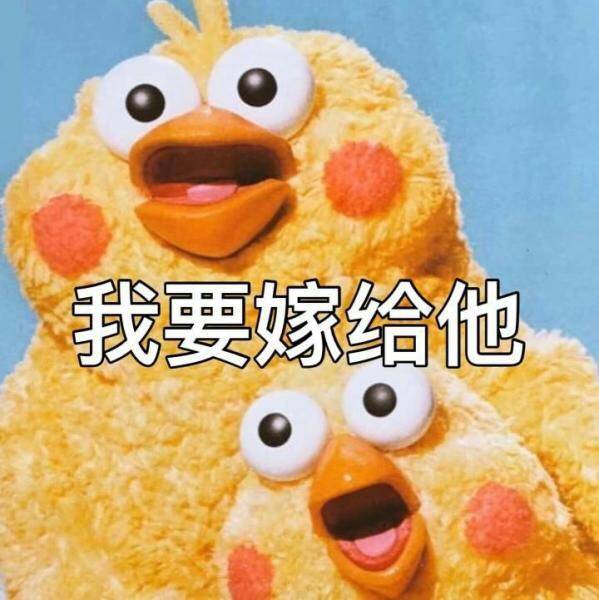 郑秀晶的演技毫无层次zqsg嗑的cp南太铉张度妍今日闲话聊起来 郑秀晶的演技毫无层次zqsg嗑的cp南太铉张度妍今日闲话聊起来