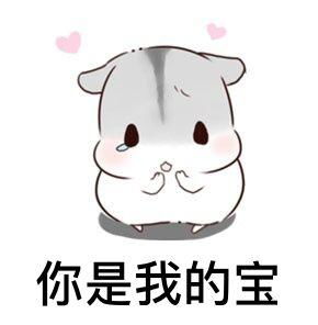  求老婆原谅专用表情包老婆你可以打我骂我,就是不能不理我
