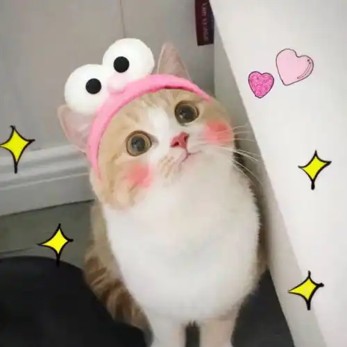 为什么有一些人割了双眼皮还是不好看 为什么有一些人割了双眼皮还是不好看