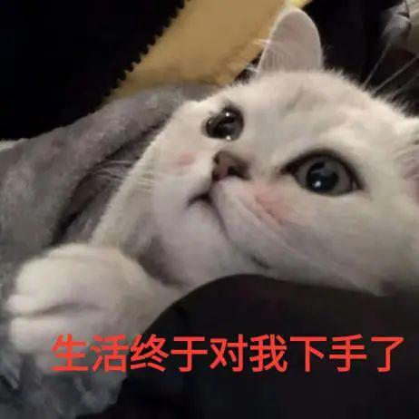  中年夫妻的激情早就不在性生活上了,而是靠......说得太好了