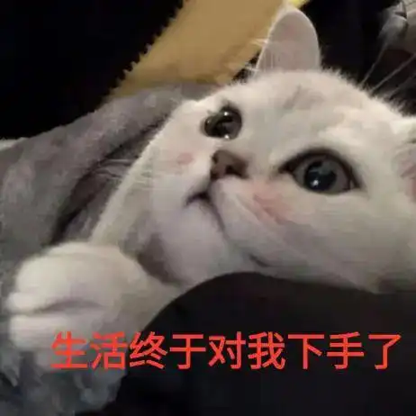  中年夫妻的激情早就不在性生活上了,而是靠......说得太好了