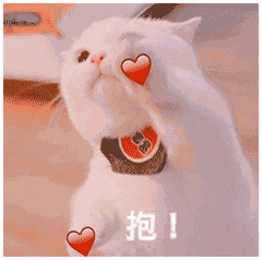  表情包在干嘛,有点想你