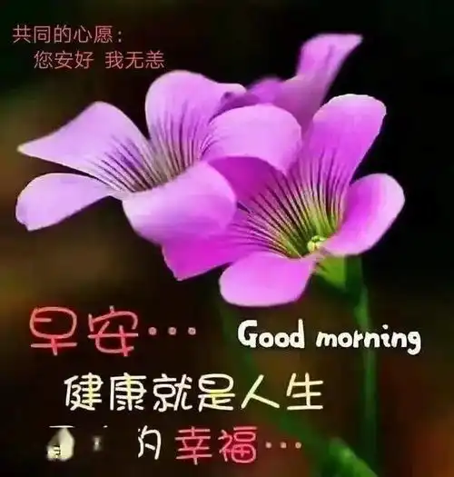 中老年早上好表情包最新早上好特漂亮的祝福图片朋友圈温馨的早上好短信大全 中老年早上好表情包最新早上好特漂亮的祝福图片朋友圈温馨的早上好短信大全