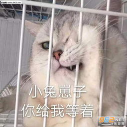  真的好好笑哦勉强表情图片你看我像开心吗表情包下载乐游网游戏下载