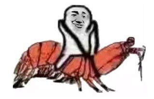  燃爆网络!继皮皮虾我们走后车子我们走表情包来了_广西开心吉利汽车4s店新闻资讯-汽车之家