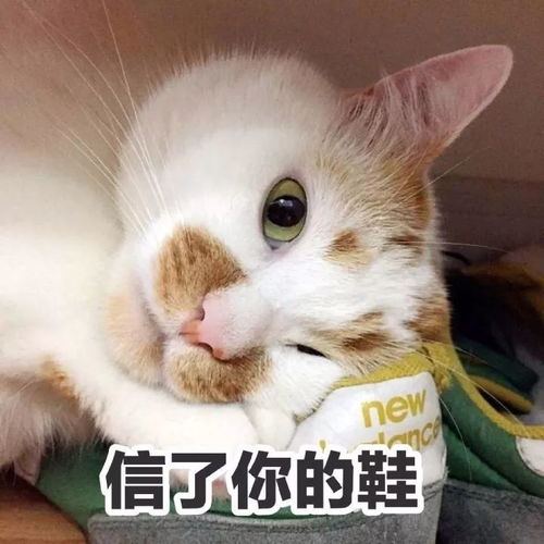  楼楼再见