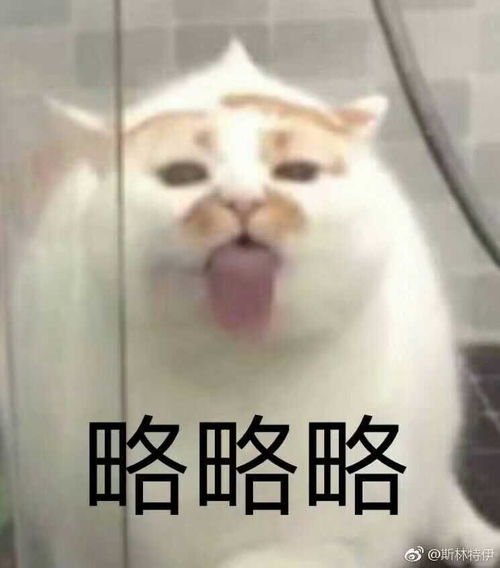  有一个很爱你的女朋友是什么体验