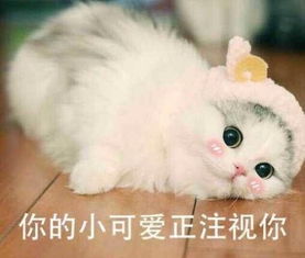 黑脸小可爱的表情包马丽