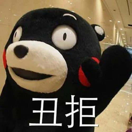 加vx的表情包礼仪