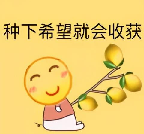 兰兰无话可说表情包婚姻
