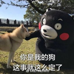  queen紫玲的微博微博