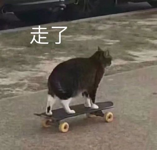  叔叔你别拉了,我害怕哈哈哈哈哈网友分享亲身拉肚子经历