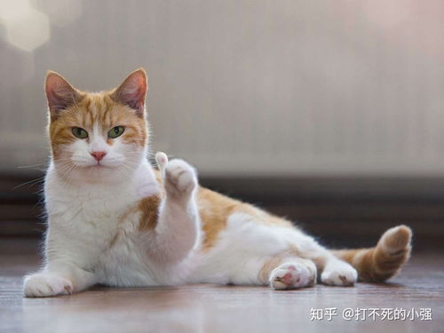  2020年养生壶推荐.告别小白,速成老司机的避坑指南
