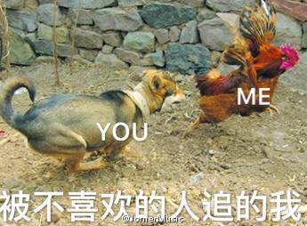  哈哈哈哈哈长辈们的鸡年表情包又火了,面膜都笑掉了