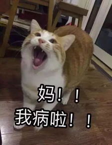  上一次给家里打电话是什么时候还记得吗