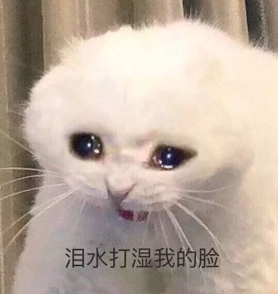  兰蔻ysl的新品口红也太好看了吧,素颜涂都没在怕