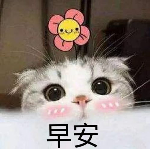  萌宠表情包早上好鸭爱你哦