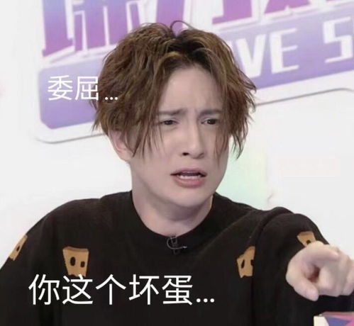  薛之谦又帅又好笑的表情包来了