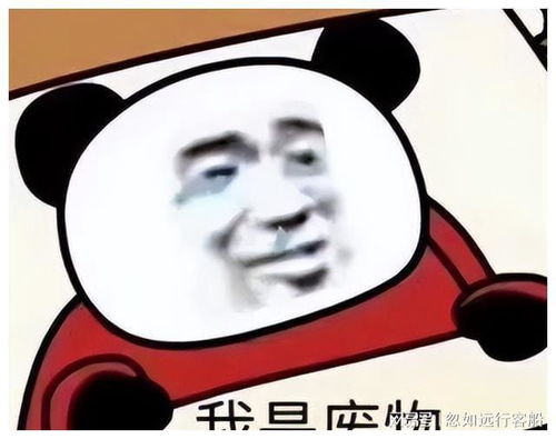  分享摆烂系列表情包,不仅有点傻傻的还很可爱无水印版