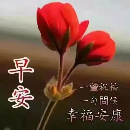  早上安康车子有油手机有电卡里有钱这就是安全感,早安