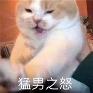  表情包你看看我鸭