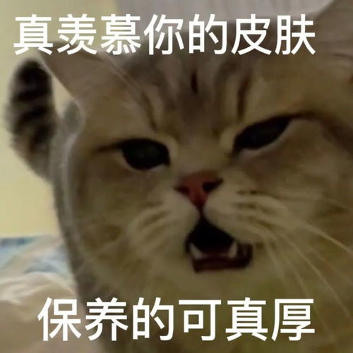  粗来玩,我开车去接你