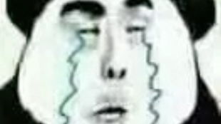 给表情包配音第一天 给表情包配音第一天