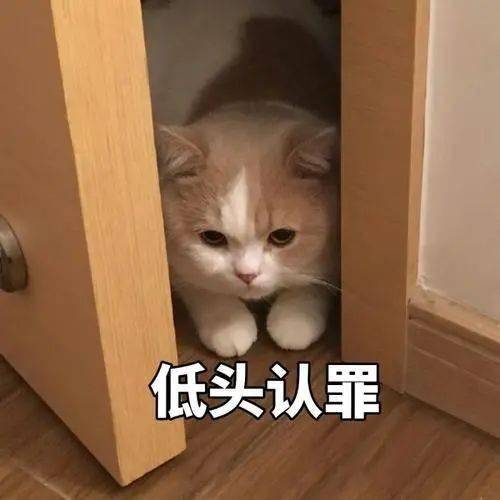  重磅通知丨广东省10月自考考试时间明确,4月成绩公布时间预计在这时候