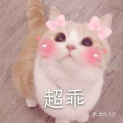  电话地址价格营业时间庙行共康小龙虾团购