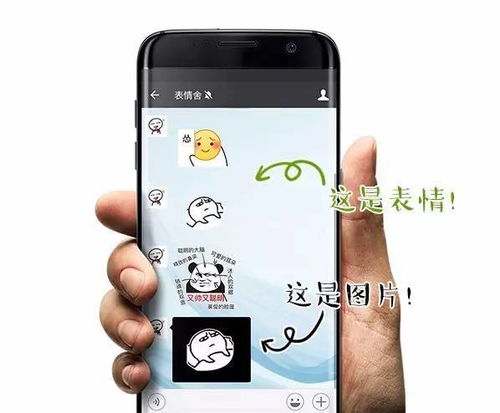  表情最新微信整人套路