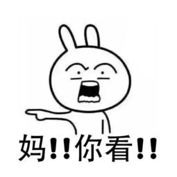  搞笑段子记者采访中国学生,暑假的时间都干什么了