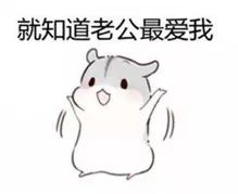  胃被暖花了老公想送她新手机,宁波妻子直接呈上一大桌花宴