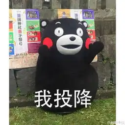 我投降熊本熊表情包by万能小仙女i堆糖,美好生活研究所 我投降熊本熊表情包by万能小仙女i堆糖,美好生活研究所