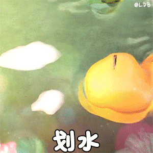 可爱的小奶龙表情包四十六 可爱的小奶龙表情包四十六