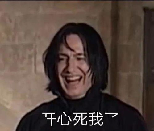  表情sir有1说1